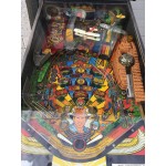 Indiana Jones Pinball  (ocasião)